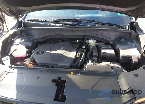 2025 Kia Sorento Lx z USA, uszkodzony, nr VIN 5XYRG4JC7SG388991